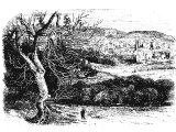 Nazareth from South West